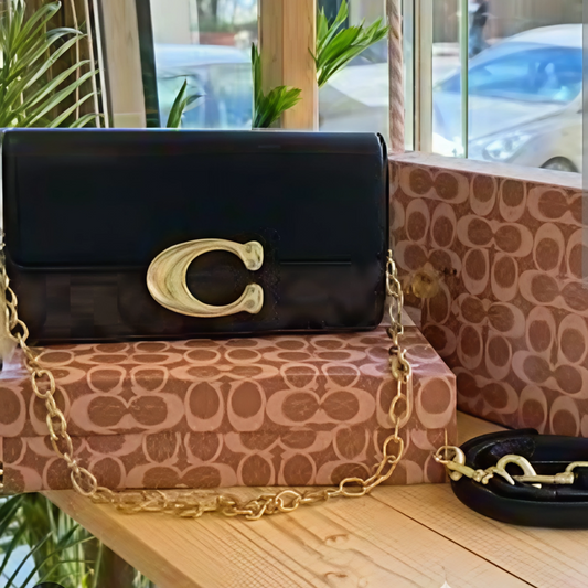Black and brown Coach clutch